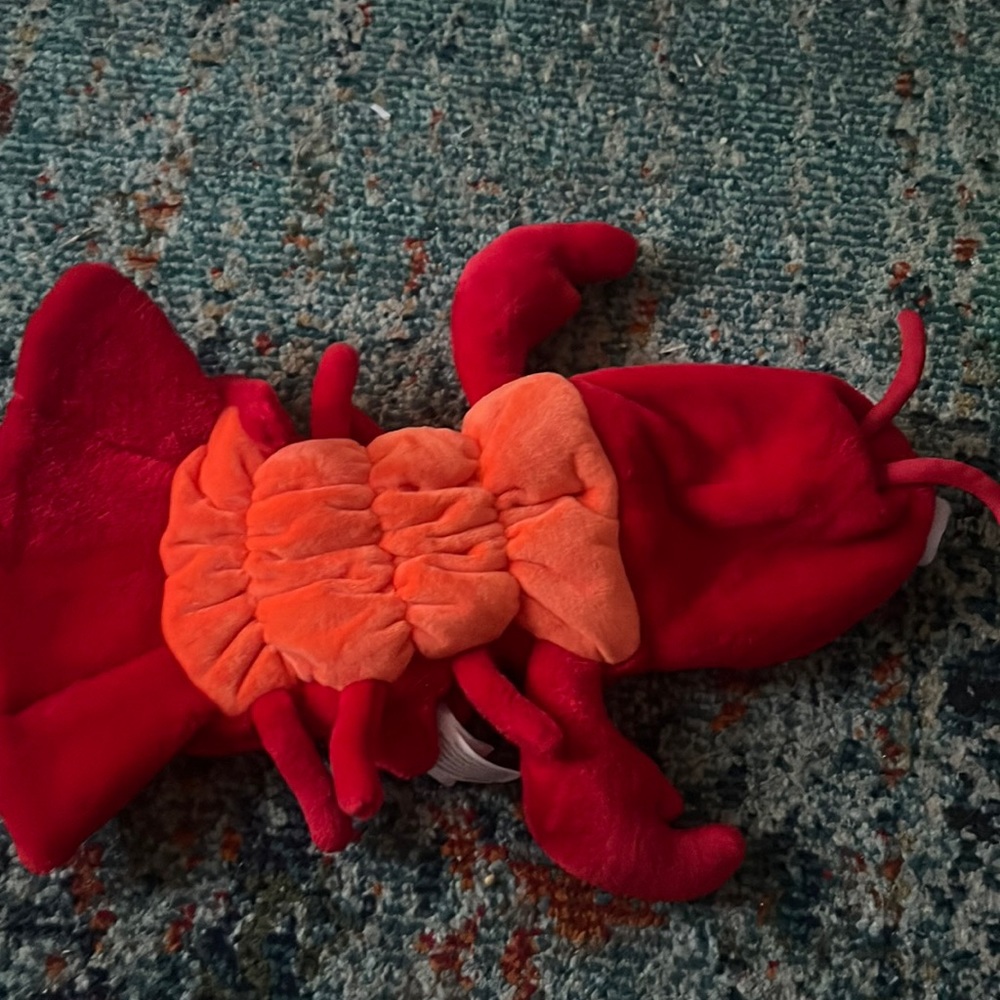 hello , im selling a lobster costume for any pet loving owners.